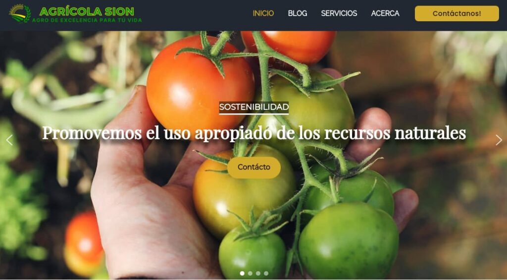 Proyecto Agrícola Sion SAS por ideas Llaneras